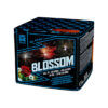 BLOSSOM AC25-36-2 – wyrzutnia Argento 36 strzałów 25 mm