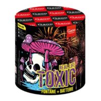 TOXIC FX10-02 – wyrzutnia z fontanną Gaoo 10 strzałów 20 mm